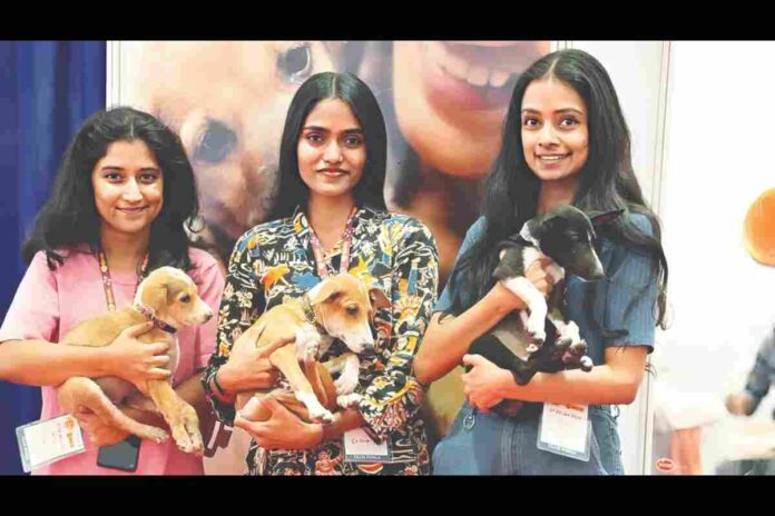 L R Swathi Subhashree