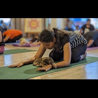 Spending time with pet