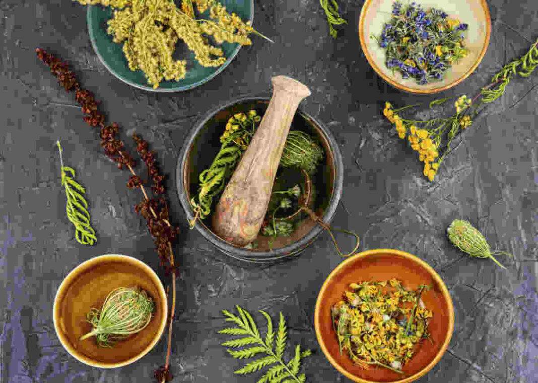 Herbal Medicine