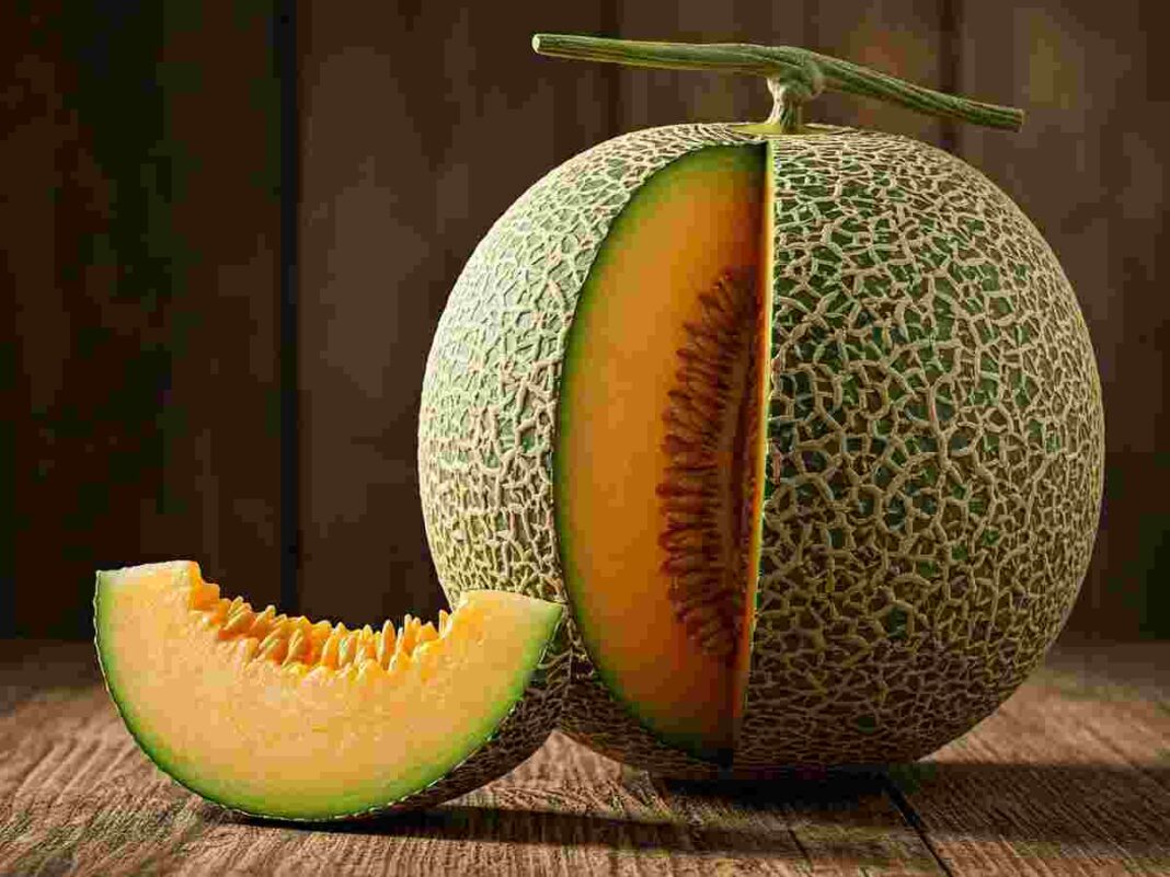Musk melon