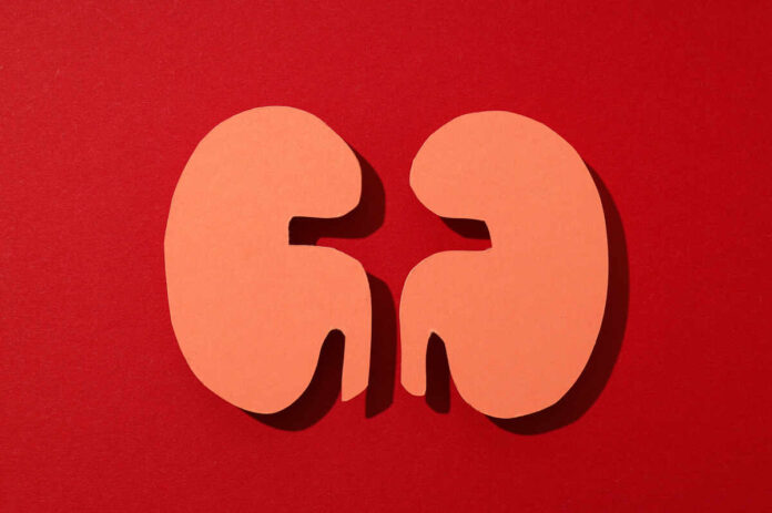 diabetes affects kidneys