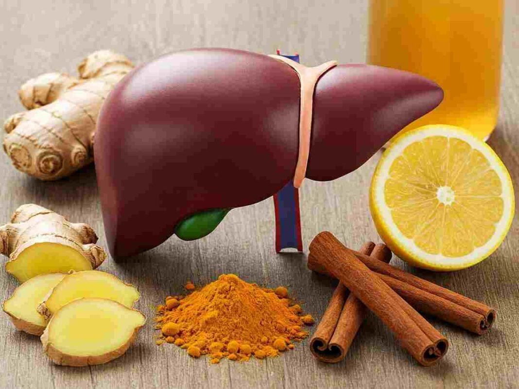 cure fatty liver in 14 days