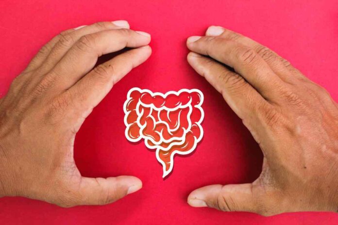 kidney disease affect digestive system
