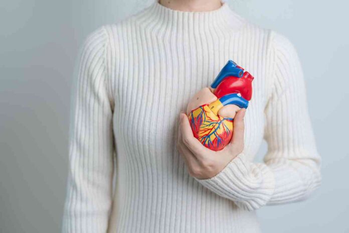 Heart