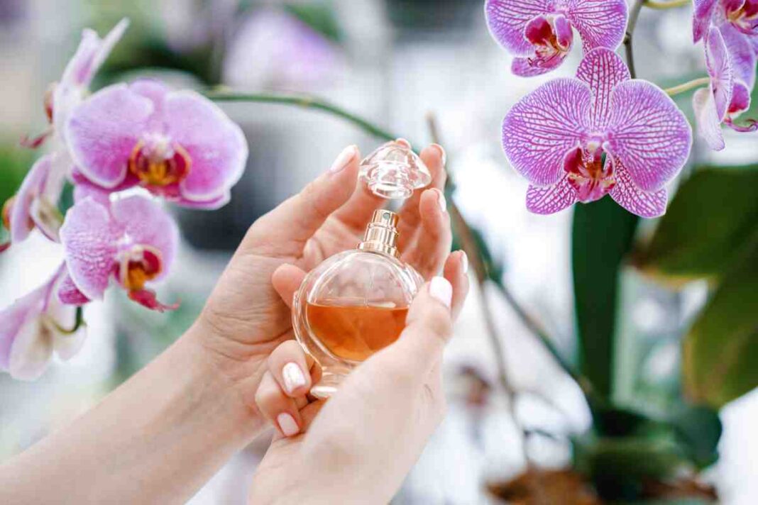 perfumes can cause hormonal imbalances