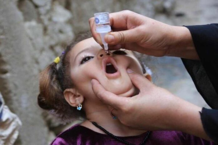 polio endemic countries