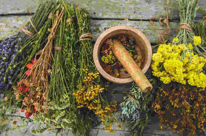 medicinal herbs