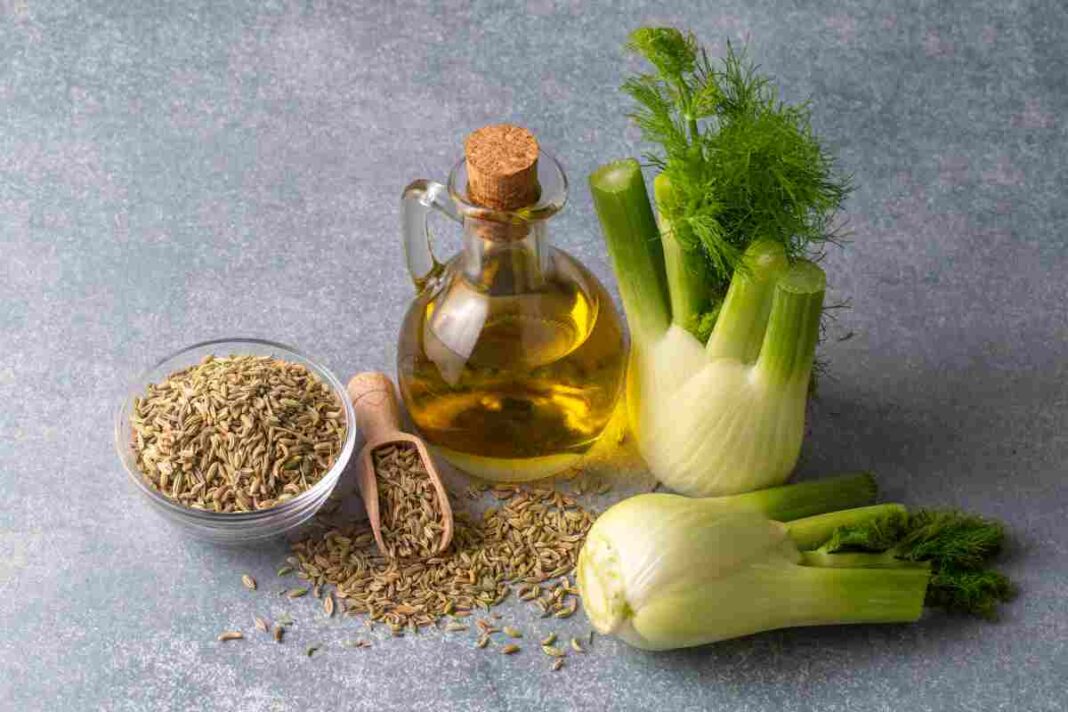 fennel for mouth ulcers