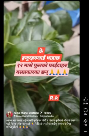 बाह्रमासे फूलको claim