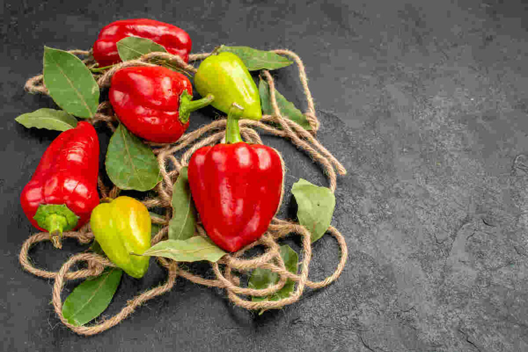 capsicum