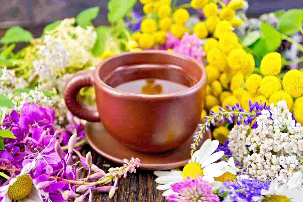 Fact Check: Can a herbal concoction help dissolve kidney stones in just 8 days?