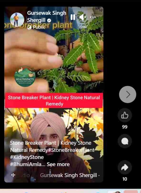 bhumi amla and kidney stones