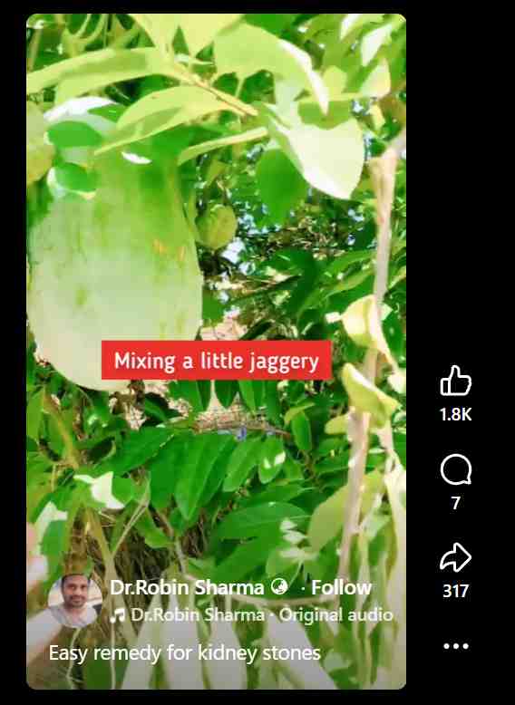 ash gourd and kidney stones