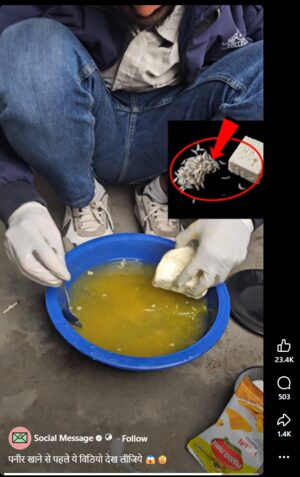 Paneer bacteria claim