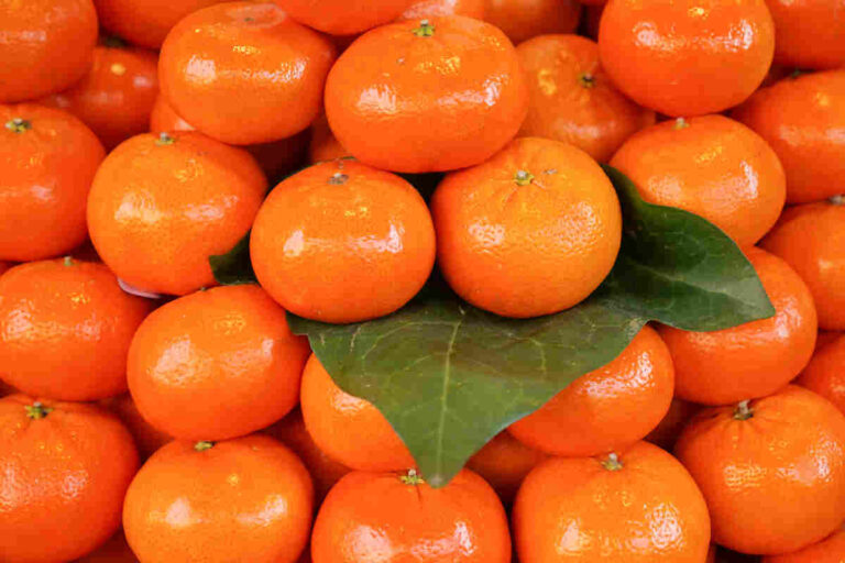 Mandarin: Health Benefits, Nutrients & Uses- THIP Media
