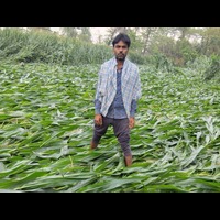 Raju