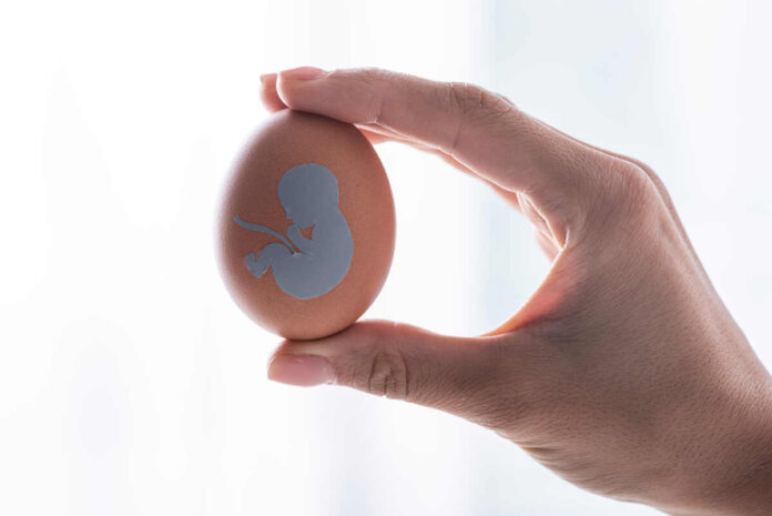 Egg freezing