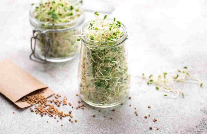 Sprouts