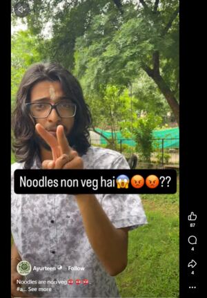 noodles are non veg